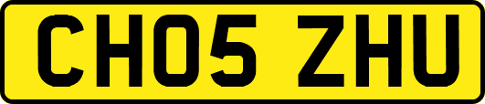 CH05ZHU