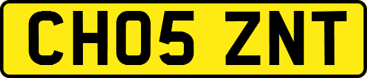 CH05ZNT
