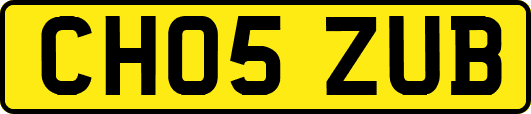 CH05ZUB