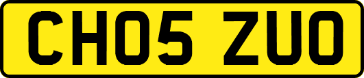 CH05ZUO