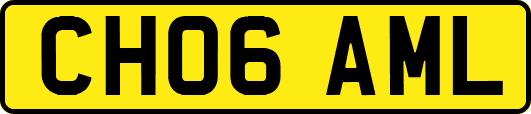 CH06AML