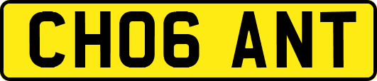 CH06ANT