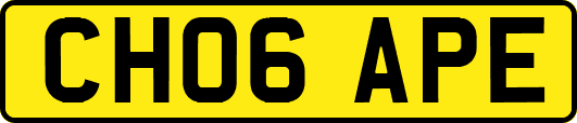 CH06APE