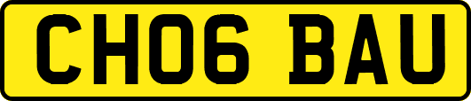 CH06BAU