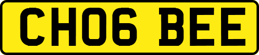 CH06BEE