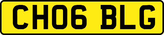 CH06BLG