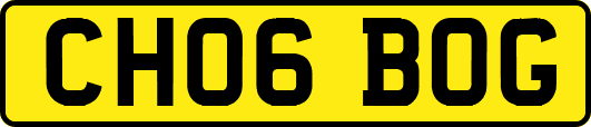 CH06BOG