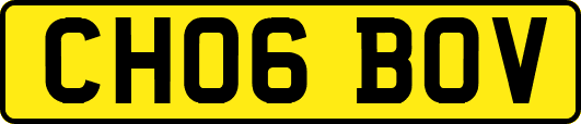 CH06BOV