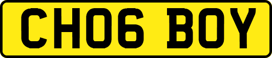 CH06BOY