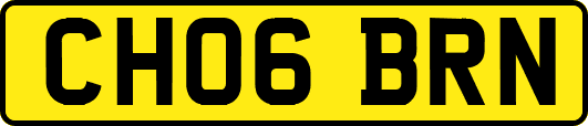 CH06BRN