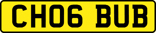 CH06BUB