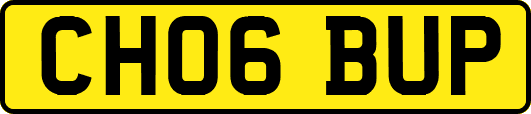CH06BUP