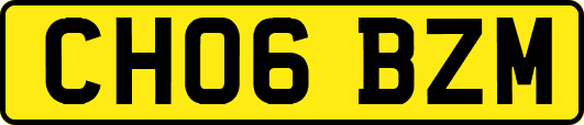 CH06BZM