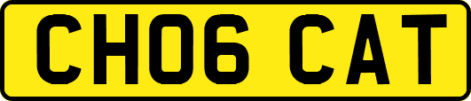 CH06CAT