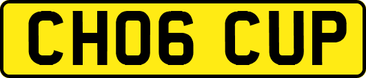CH06CUP