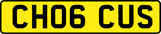 CH06CUS