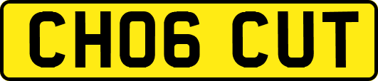 CH06CUT