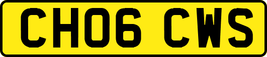 CH06CWS
