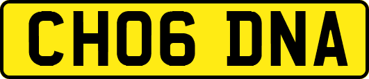 CH06DNA