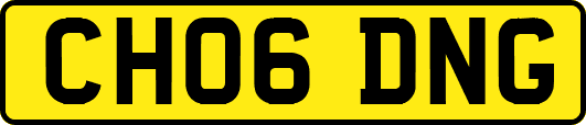 CH06DNG
