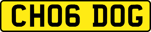 CH06DOG