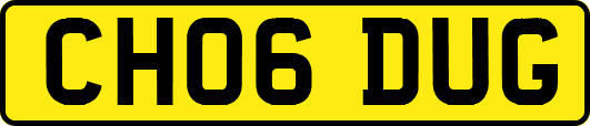 CH06DUG
