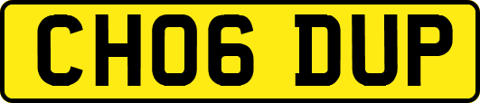 CH06DUP