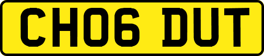 CH06DUT