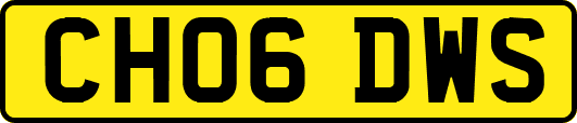 CH06DWS