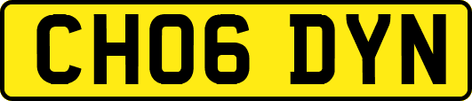 CH06DYN