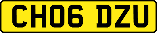 CH06DZU