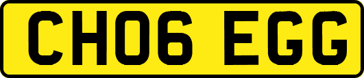 CH06EGG
