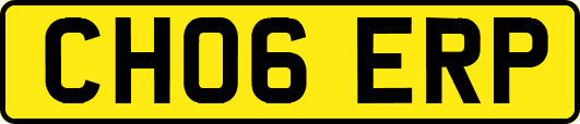 CH06ERP
