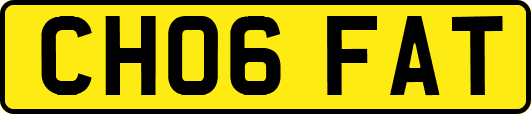 CH06FAT