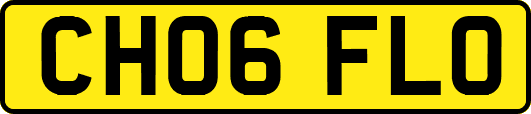 CH06FLO