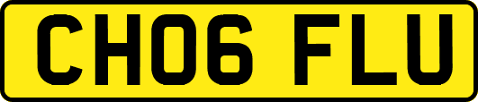 CH06FLU