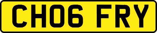 CH06FRY