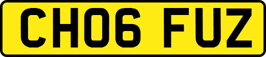 CH06FUZ