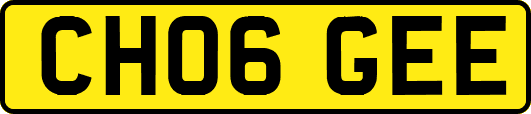 CH06GEE