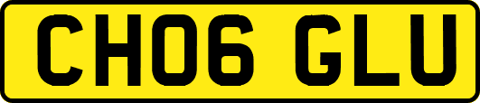 CH06GLU