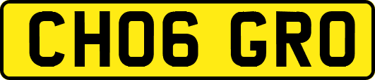 CH06GRO