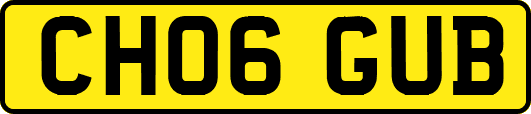 CH06GUB