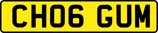 CH06GUM