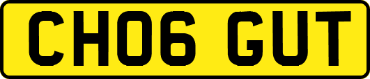 CH06GUT