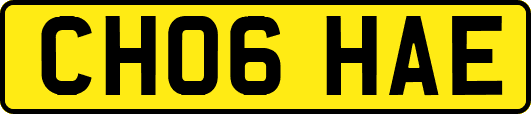 CH06HAE