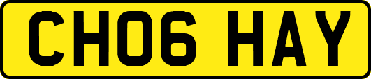 CH06HAY