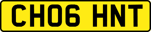CH06HNT
