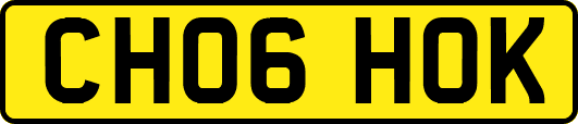 CH06HOK