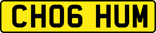CH06HUM