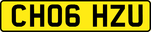 CH06HZU